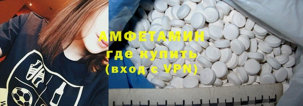 гашик Гусь-Хрустальный