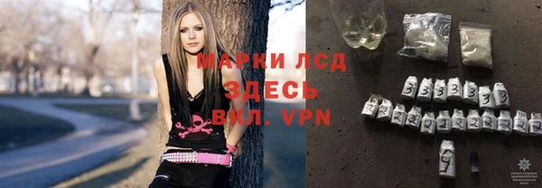 стаф Гусев