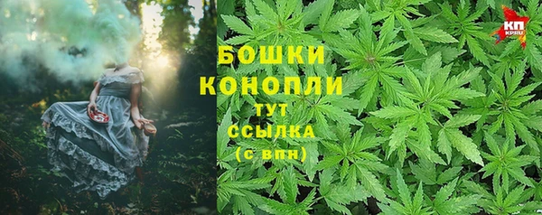стаф Гусев