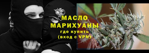 гашик Гусь-Хрустальный