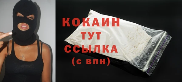 гашик Гусь-Хрустальный