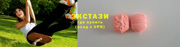 гашик Гусь-Хрустальный