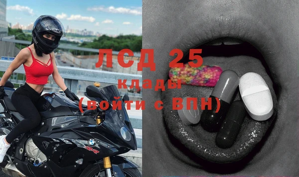 стаф Гусев
