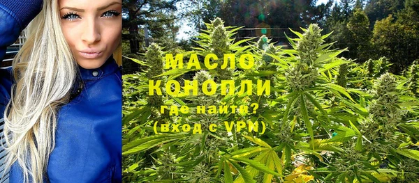 гашик Гусь-Хрустальный