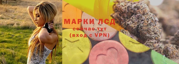 стаф Гусев