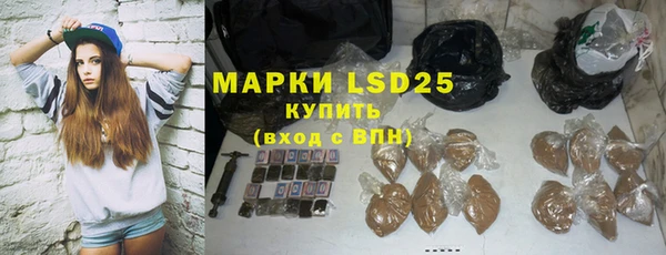 стаф Гусев