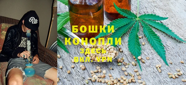стаф Гусев