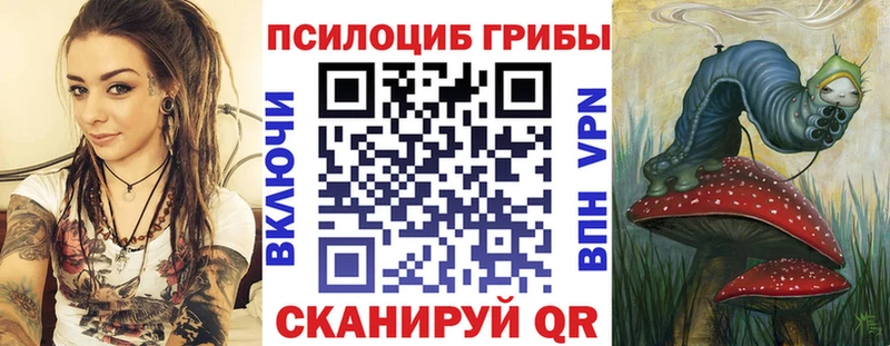 Галлюциногенные грибы ЛСД  Купить где  Навашино 